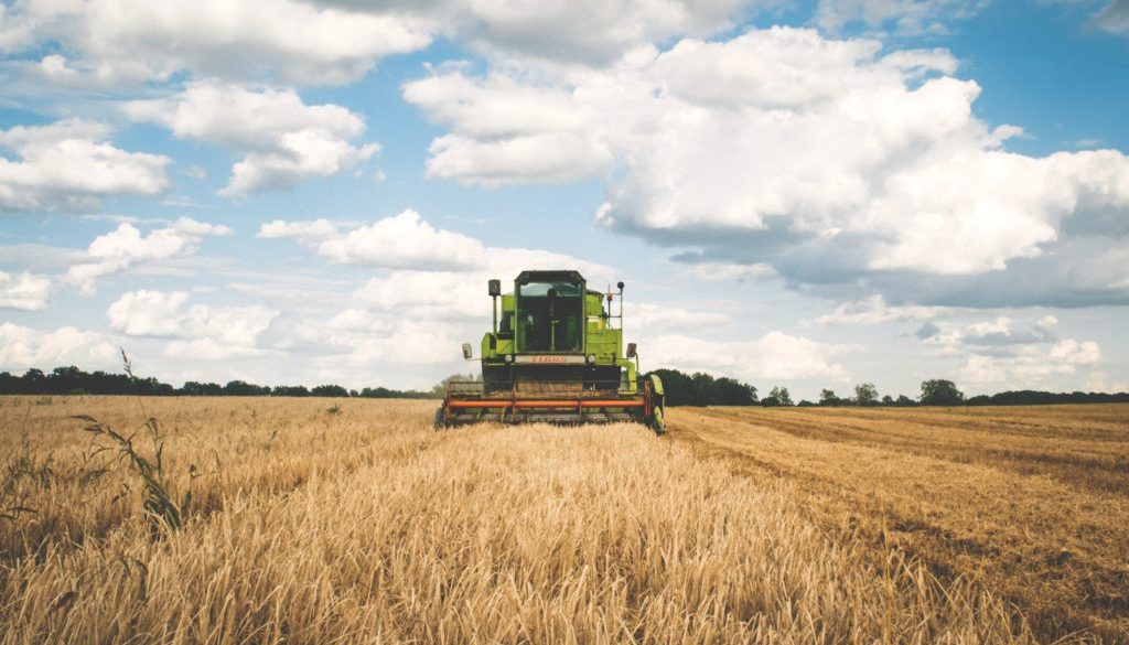 agriculture-cereal-clouds-175389