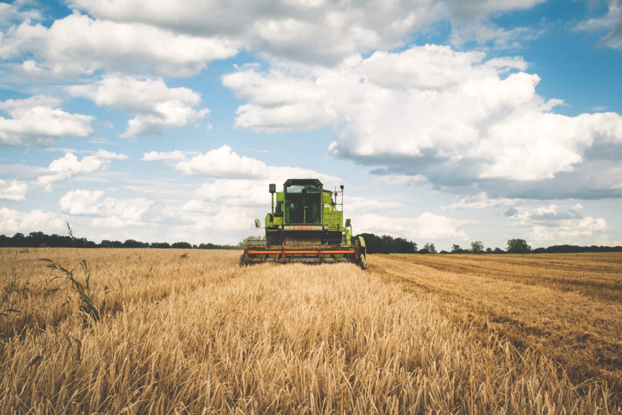agriculture-cereal-clouds-175389
