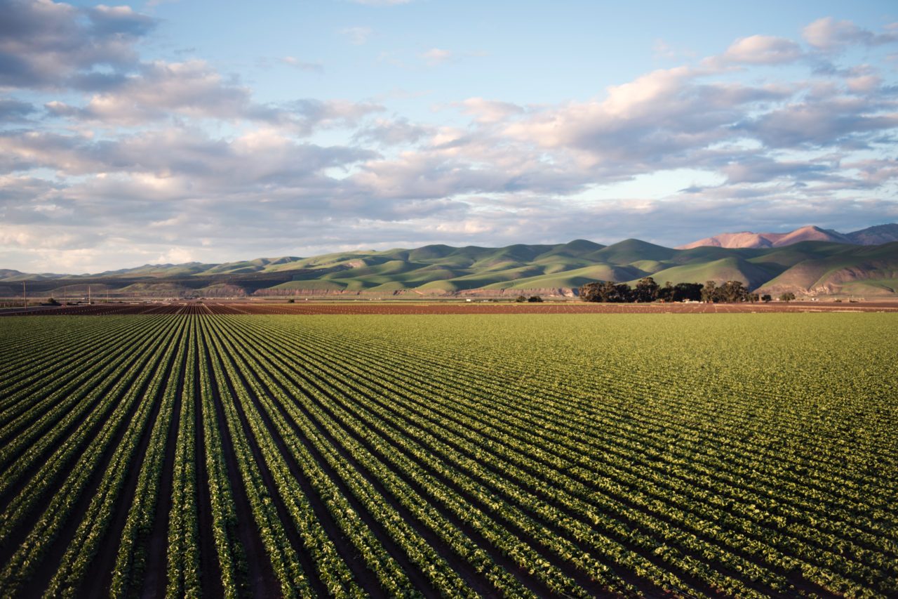 agriculture-clouds-country-974314